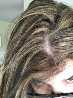 Fried hair by Melinda