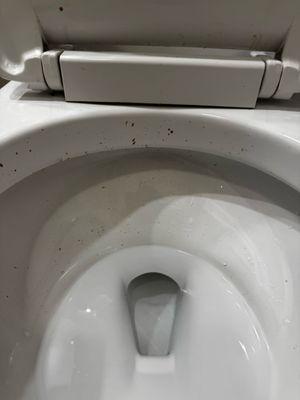 Dirty toilet with feces