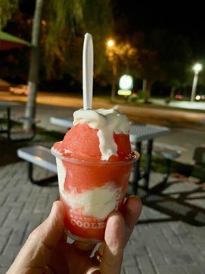 Free "Welcome" (for downloading their app) small gelati - strawberry lemon with vanilla ice cream