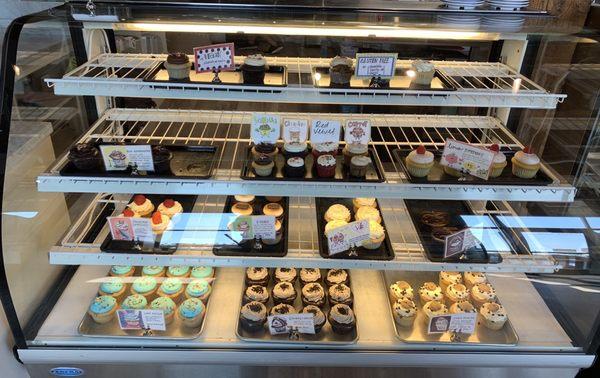 Cupcakes display including daily vegan options