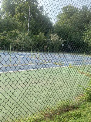 Reserve at Regency Park tennis courts