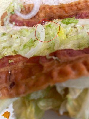 Turkey, bacon, ranch sub with a side of pubic hair