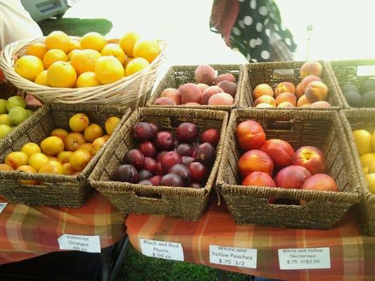 Stone fruits and citrus