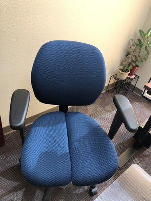 life form grand office chair with coreflex split seat