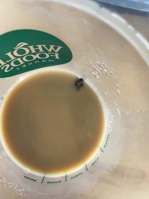 My oat milk chai got a fly in it. Not sure how long it was in there because my cap was on the whole time.