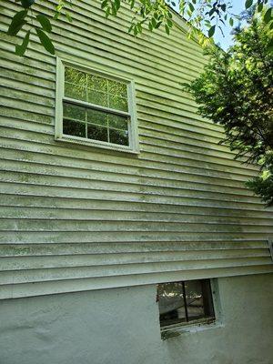 side of house covered in black and green old