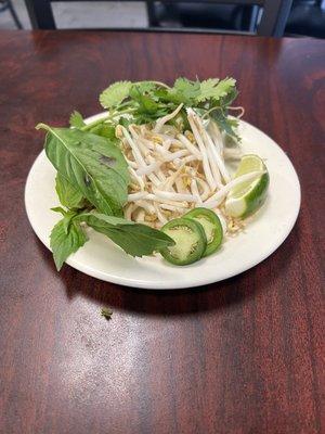 Fresh Jalapeño, Basil, Bean Sprouts, Lime, and Cilantro