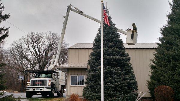 Pruning with the bucket truck