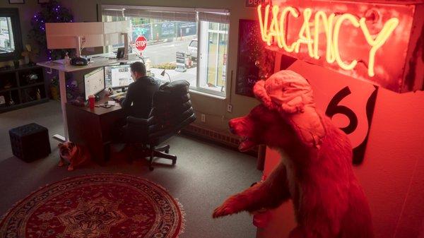 Lucy the office Bulldog, and Harry the Brown Bear are always hanging out at the office.