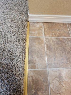 Baseboards covered in pet hair, obvious layers of dirt on the tile.