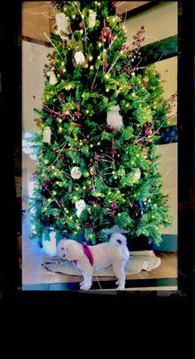 Fendi in the main lobby and the Christmas tree decorated with white owls