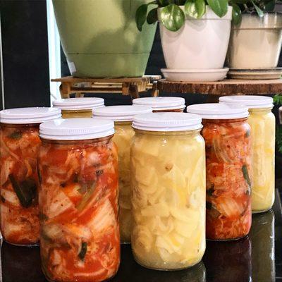 16oz bottles of kimchi and lemon ginger tea for sale