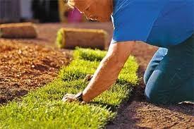 Sod service