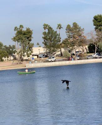 A lovely afternoon to go fishing in the lake!  Feb 2021