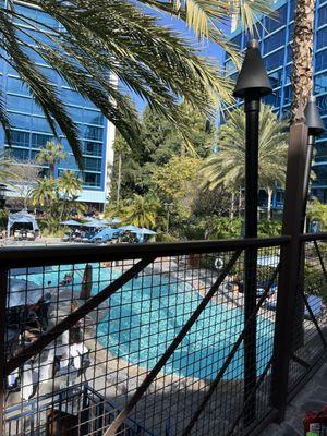 Disneyland Hotel Pool