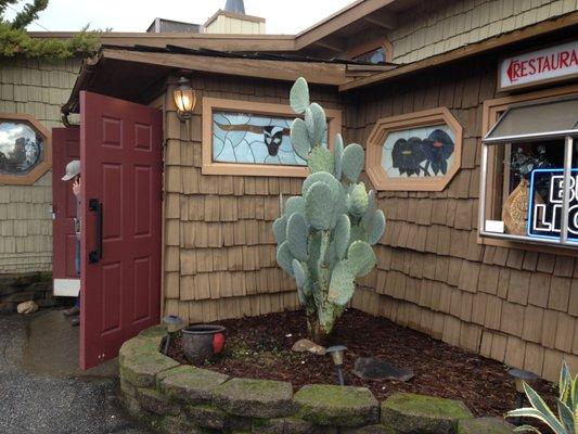 the entrance and cactus