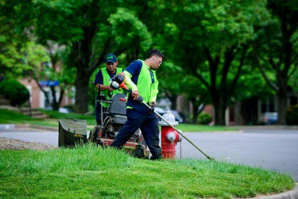 Let Blade Runners take the stress out of lawn maintenance! With our team and top-notch equipment, your lawn will be the envy of all!