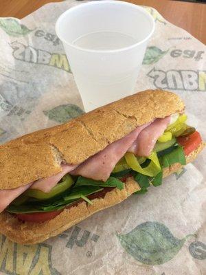 Basic 6" sub ... It's Subway... A really good Subway