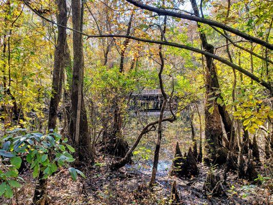 Moores Creek National Battlefield