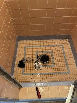 Clogged drains