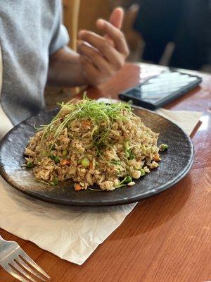 Crab Crab Meat Fried Rice