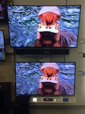 Big tvs - look at the tonsils on that Hippo in high def!!