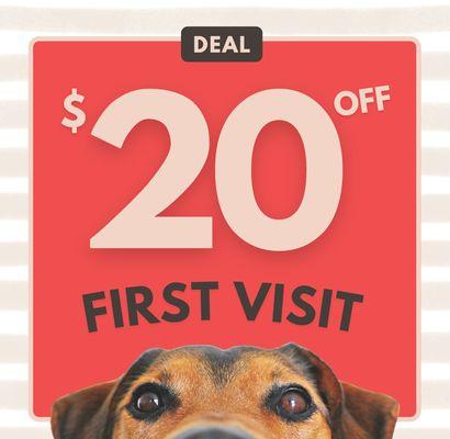 New Clients - Get $20 OFF Your First Visit