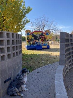 Super hero bounce house-- the kids had a blast!