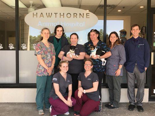 Hawthorne Animal Hospital