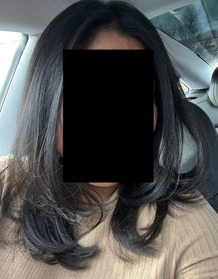 Haircut - long layers front & back (natural color)