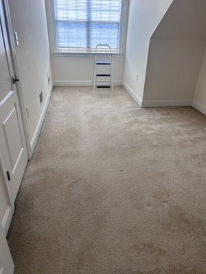 UCM Carpet Cleaning of DC