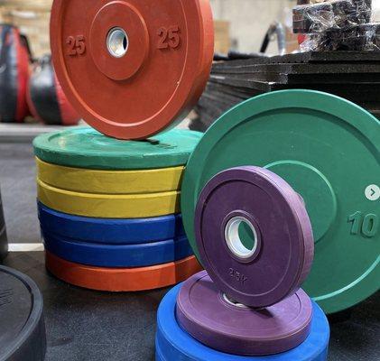 Bumper Plates for Sale! Fitness Equipment Store