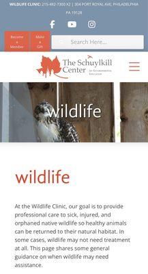 Wildlife Clinic at the Schuylkill Center