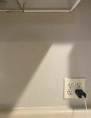 Food Stains on wall.