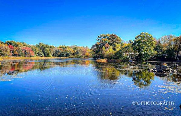 Mill pond in the Fall