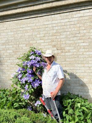 Rose Garden Landscaping