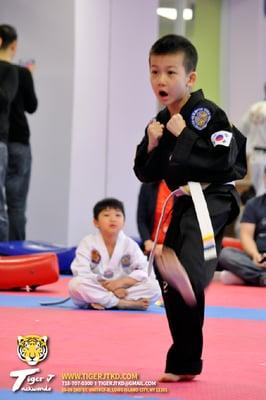 Tiger J Taekwondo's 2nd Belt Promotion Test 
  _4/18/15