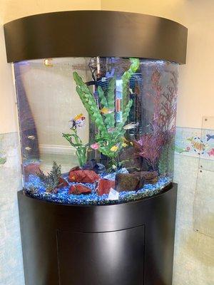 Fish tank in waiting room