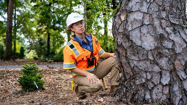 Bartlett Tree Experts - Lynchburg