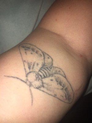 Moth tattoo on arm