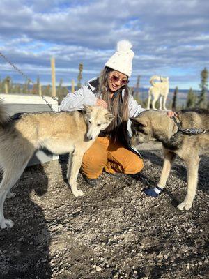 Black Spruce Dog Sledding