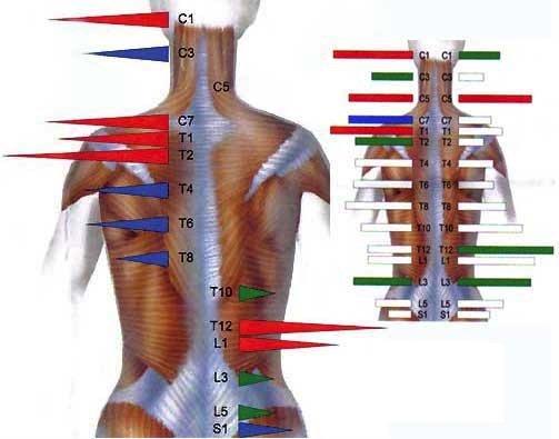 One of the first visit test is a ThermoScan that provides beneficial information of misalignment of the spine