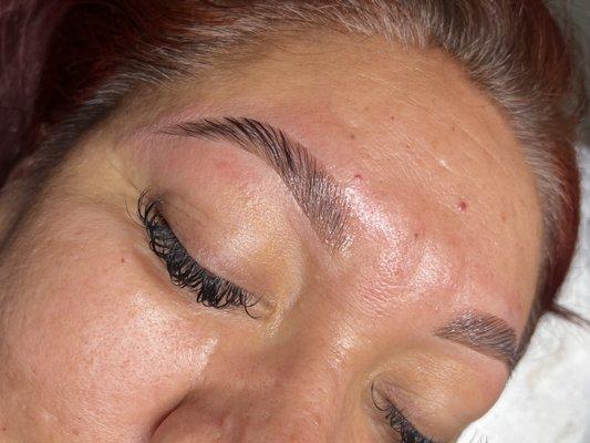 Brow lamination