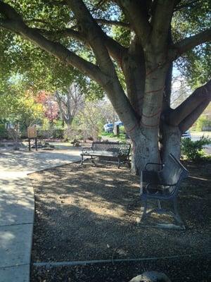 Ample sitting areas throughout the park