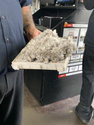 This is what they found when changing the cabin filter! Even Lexus and NTB passed on checking this!