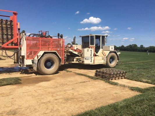 Central Sod Farms