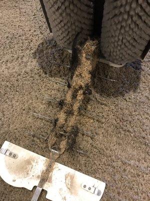 Dry Connection Carpet Cleaning