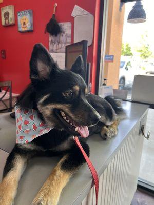 So relaxed in the salon