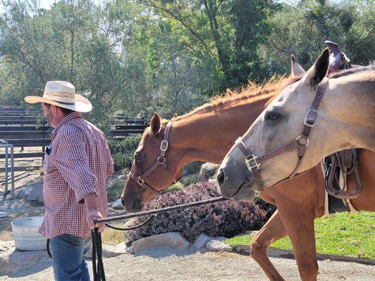 Gus, leading two of the horses back to barn