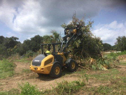 Orange Grove tree and stump removal, Bushhogging, brush clearing, excavating, grading for building site prep, With John Deere 304L loader